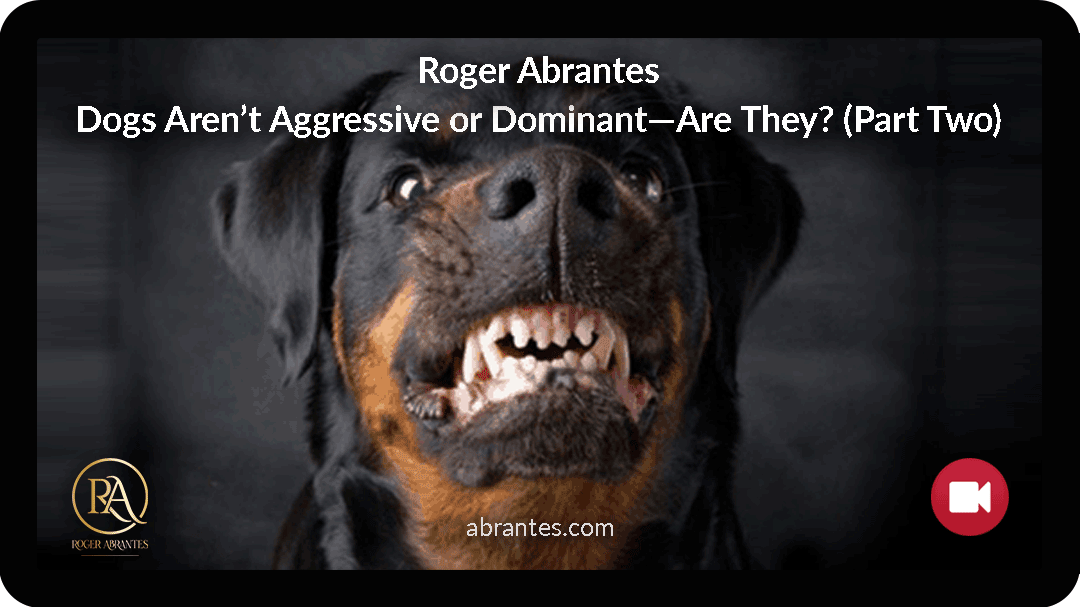 Dogs Aren’t Aggressive or Dominant—Are They? (Part Two)