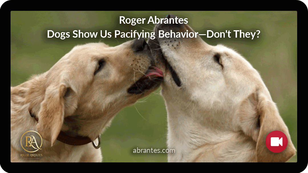 Dogs Show Us Pacifying Behavior—Don’t They?