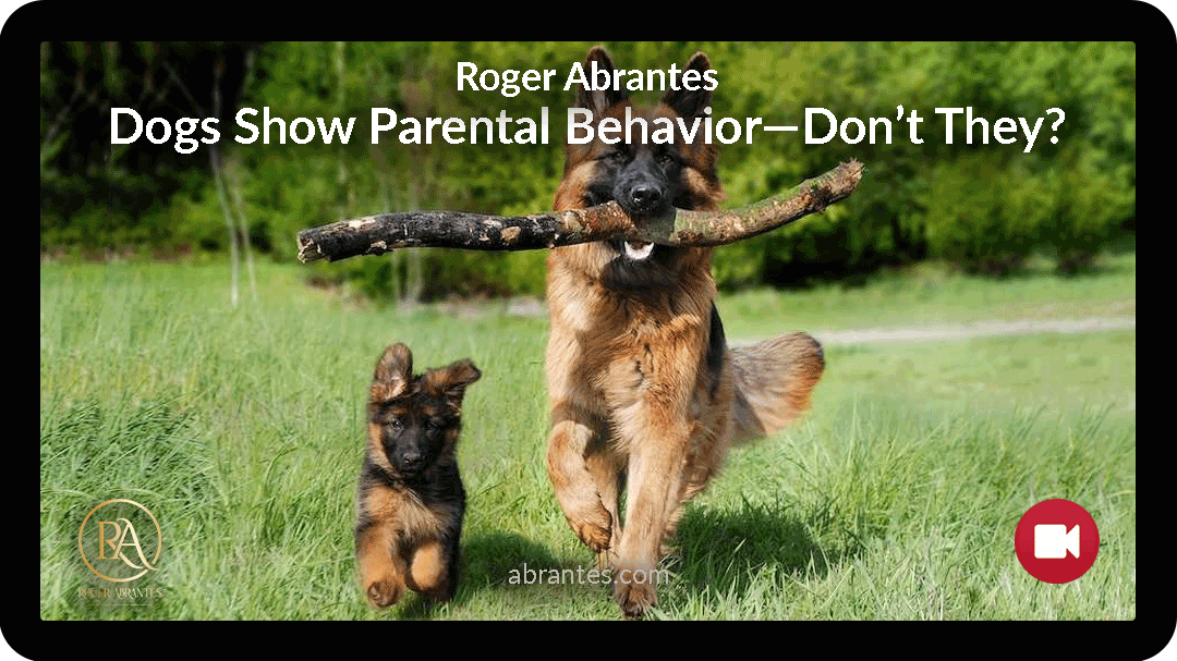 Parental Behavior Dogs 1