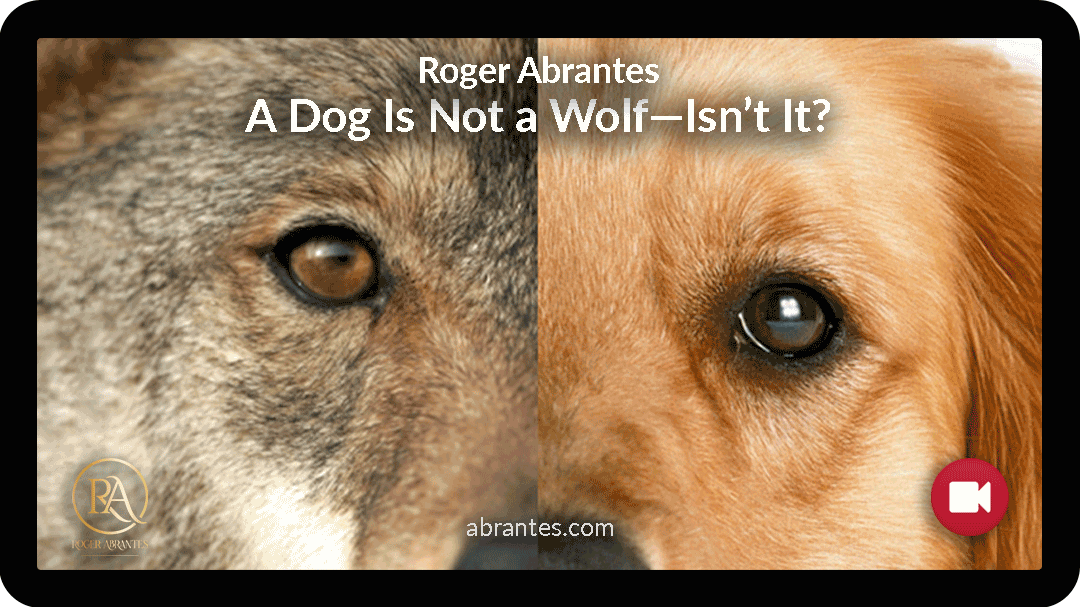 A Dog Is Not a Wolf—Isn’t It?