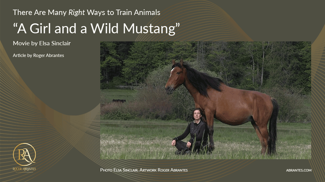 A Girl and a Wild Mustang
