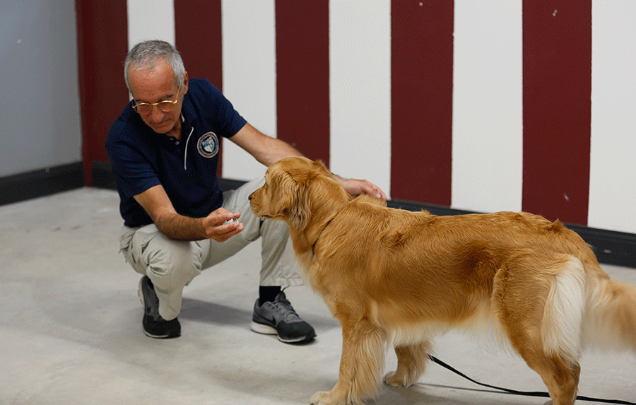 Roger Abrantes and Canine Scent Detection 1