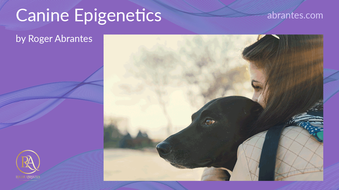 Canine Epigenetics