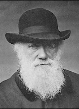 Charles Darwin 1880