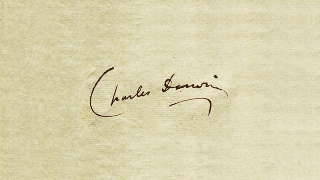 Darwin Signature Banner