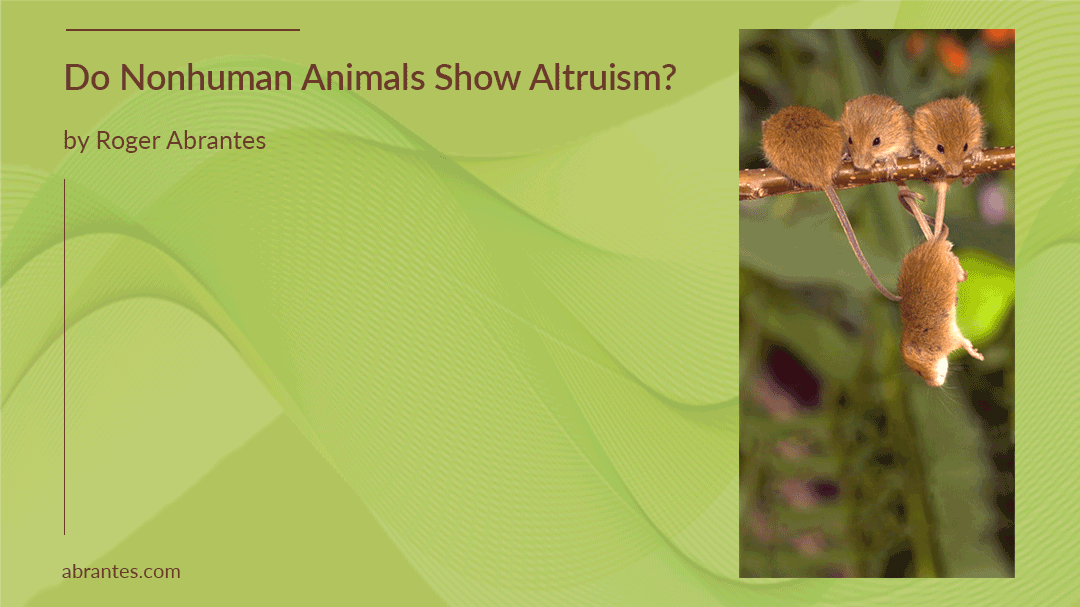 Do Nonhuman Animals Show Altruism