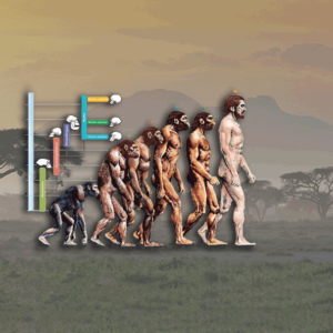 Evolution Banner