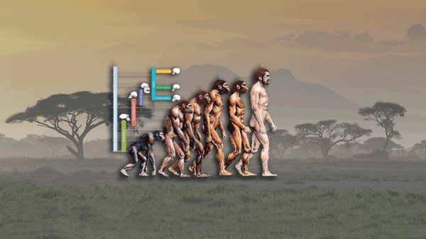 Evolution Banner