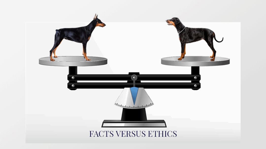 Facts Versus Ethics: Tail Docking and Ear Cropping