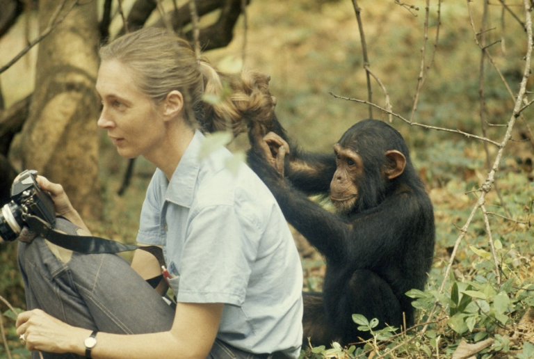 Jane Goodall and Chimp