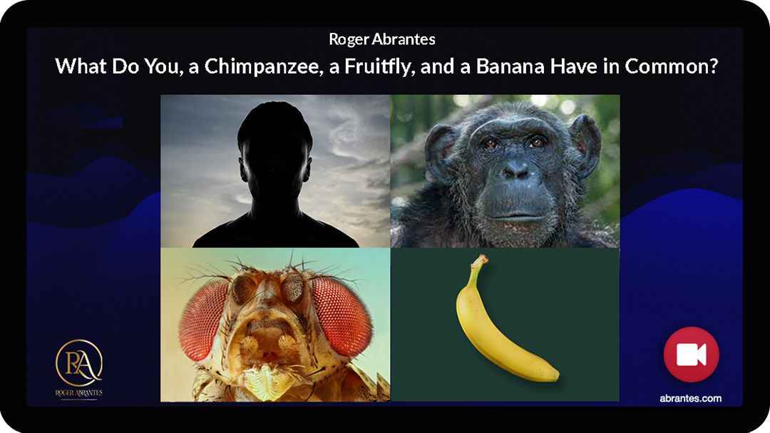 What Do You, a Chimpanzee, a Fruitfly, and a Banana Have in Common?
